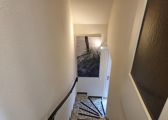 Dhh 